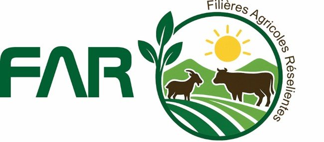 Logo FAR